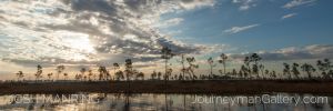 Josh Manring Photographer Decor Wall Art -  Florida Everglades -82.jpg